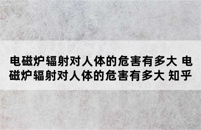 电磁炉辐射对人体的危害有多大 电磁炉辐射对人体的危害有多大 知乎